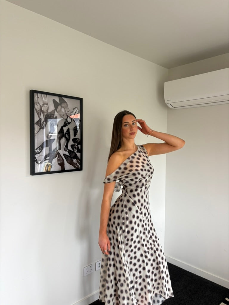 Gaudir Swim - La Fabulosa Dress in White Dots