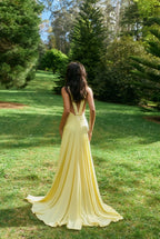 Ance Gria Rosa in Lemon